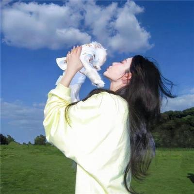 火鸟 (韩国电影)